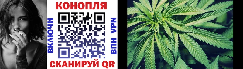 Бошки Шишки VHQ  Купить  Чернушка 
